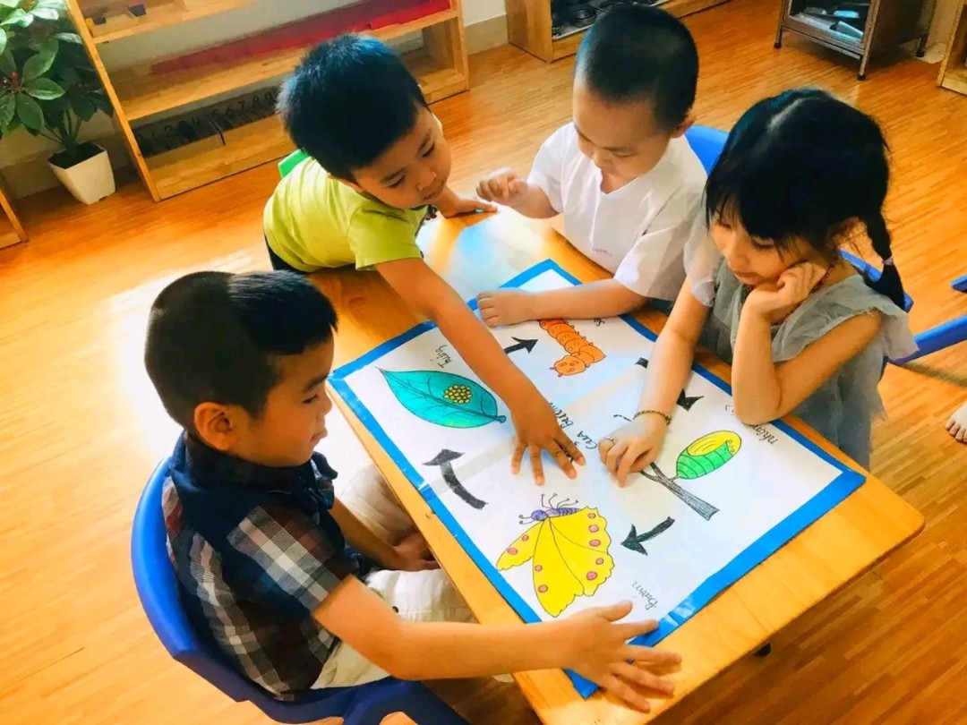 Chương trình học