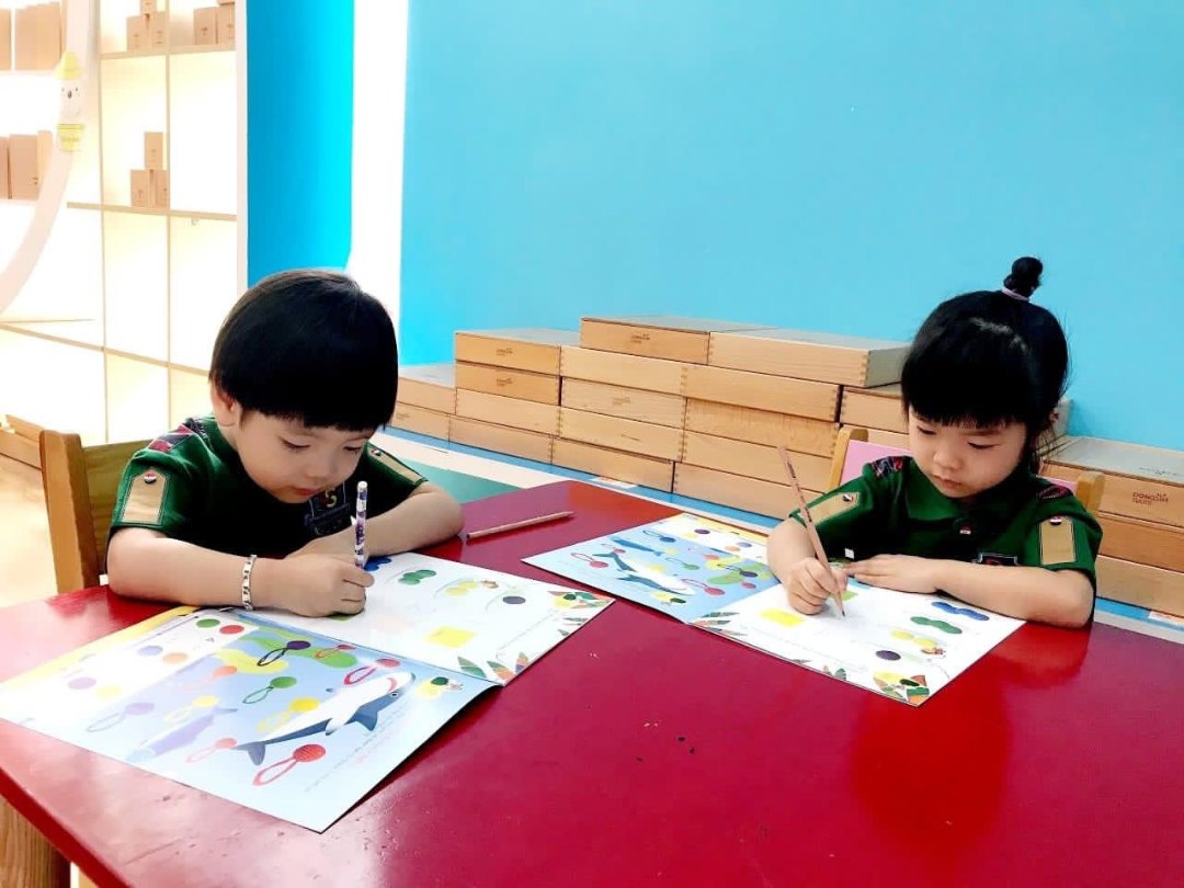 Chương trình học