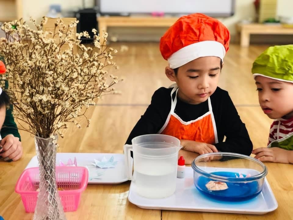 Chương trình học