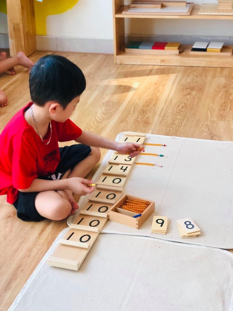 Chương trình học