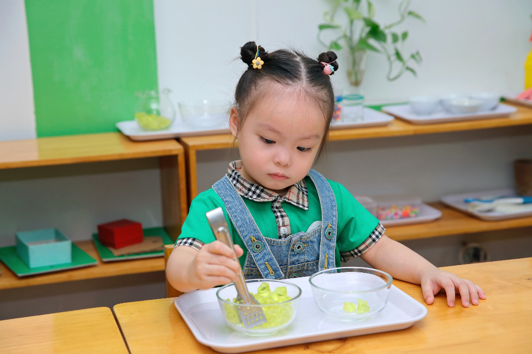 Chương trình học