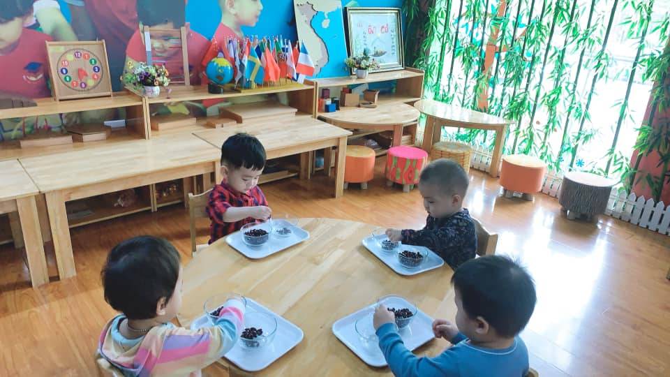 Chương trình học