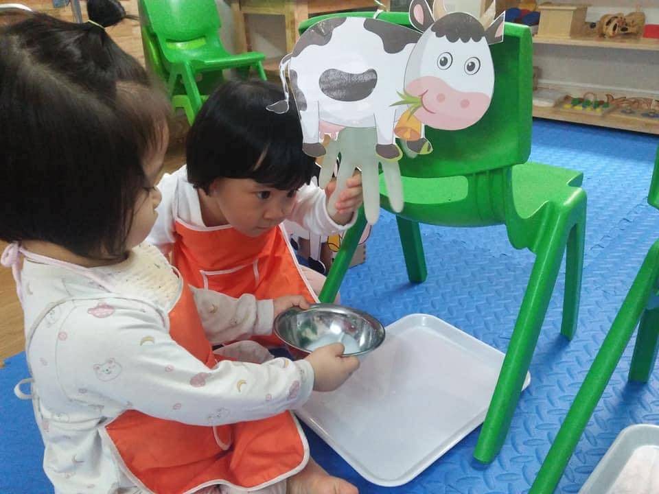 Chương trình học