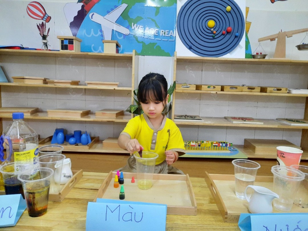 Chương trình học