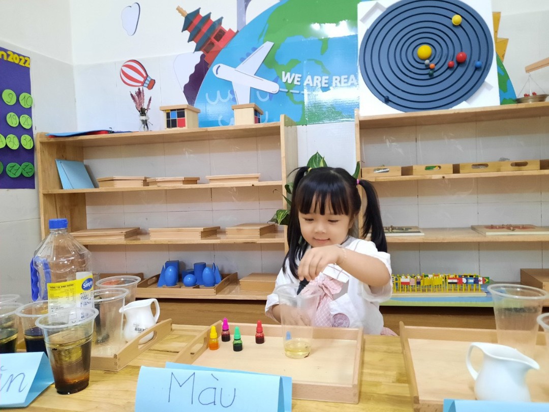 Chương trình học