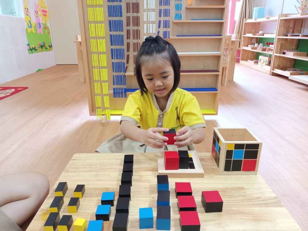 Chương trình học