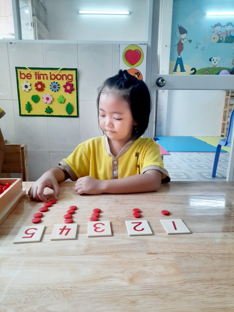 Chương trình học