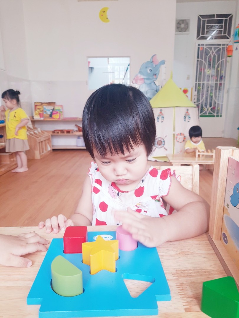 Chương trình học