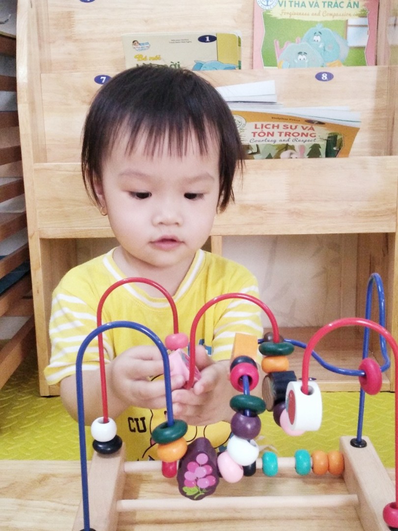 Chương trình học