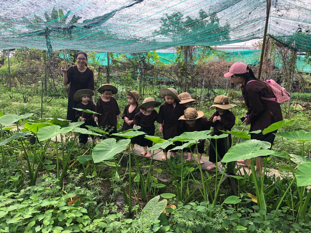 Chương trình học