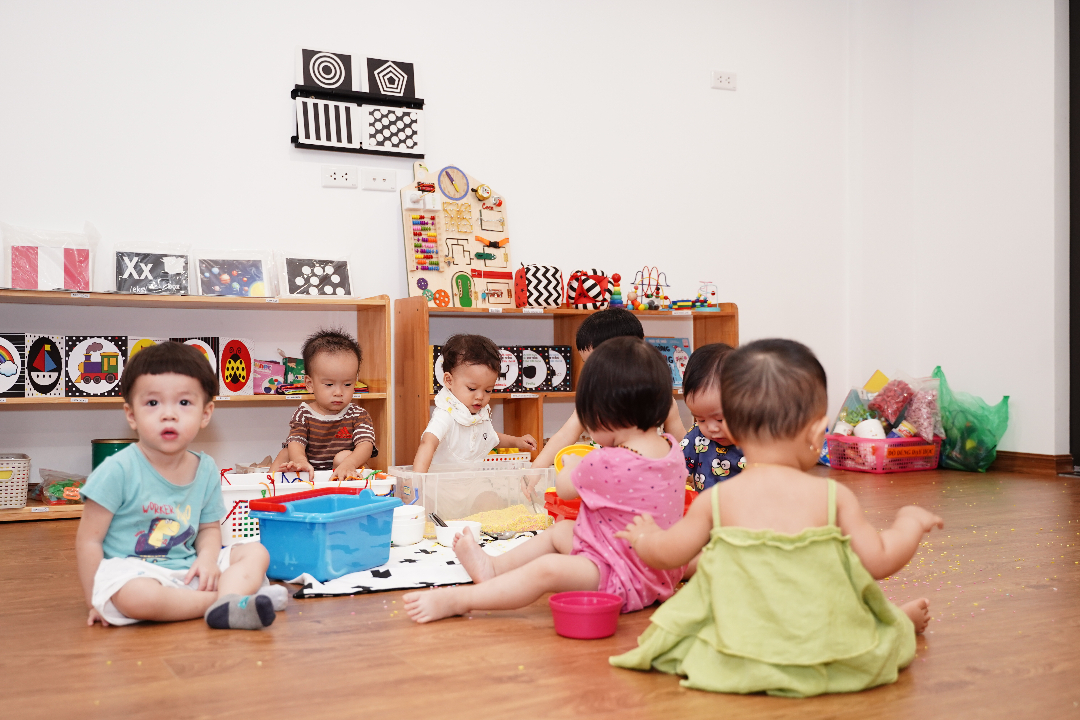 Chương trình học