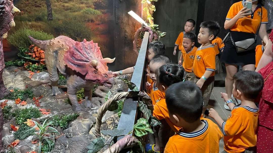 Chương trình học