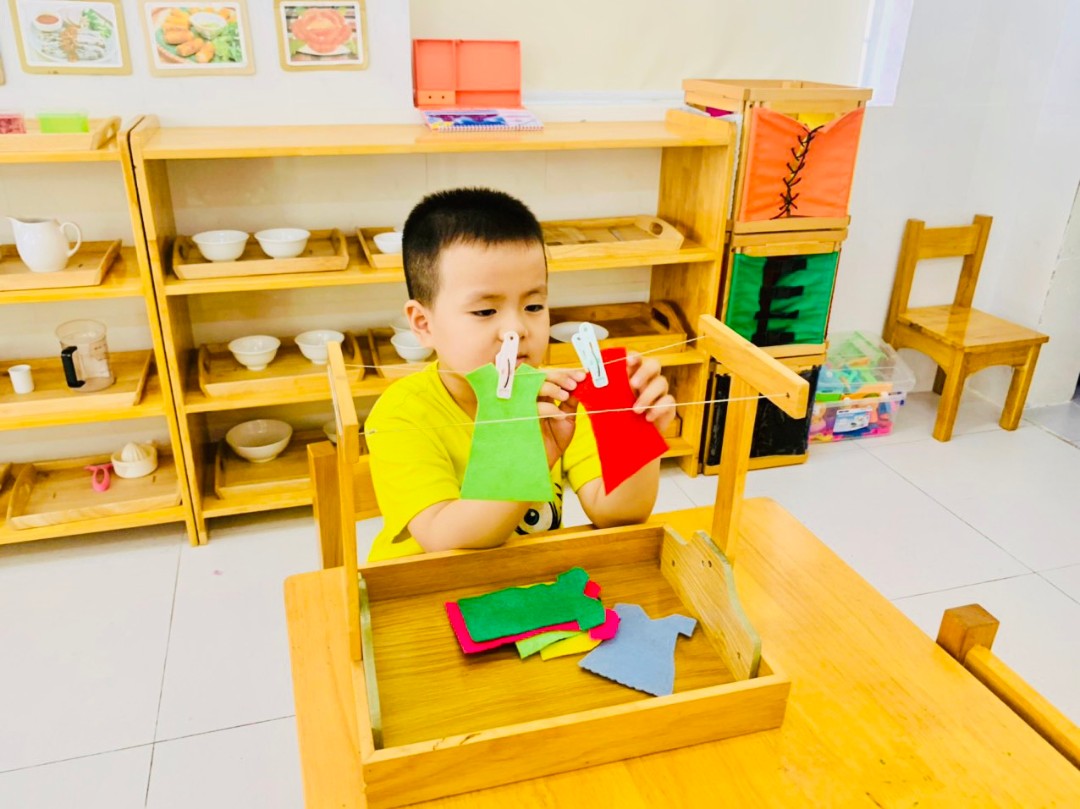 Chương trình học