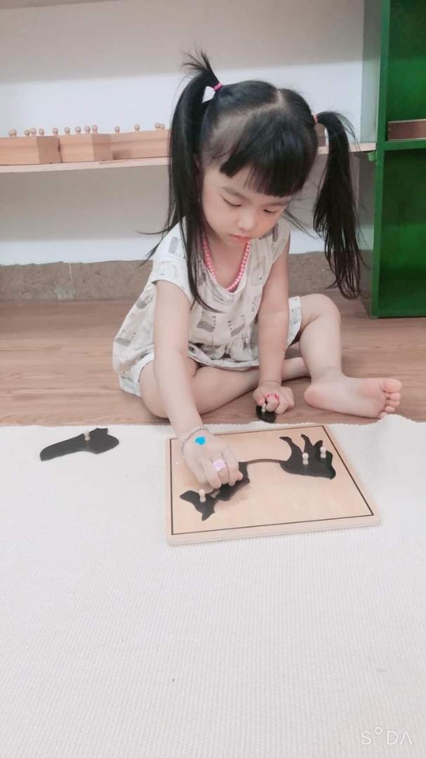 Chương trình học