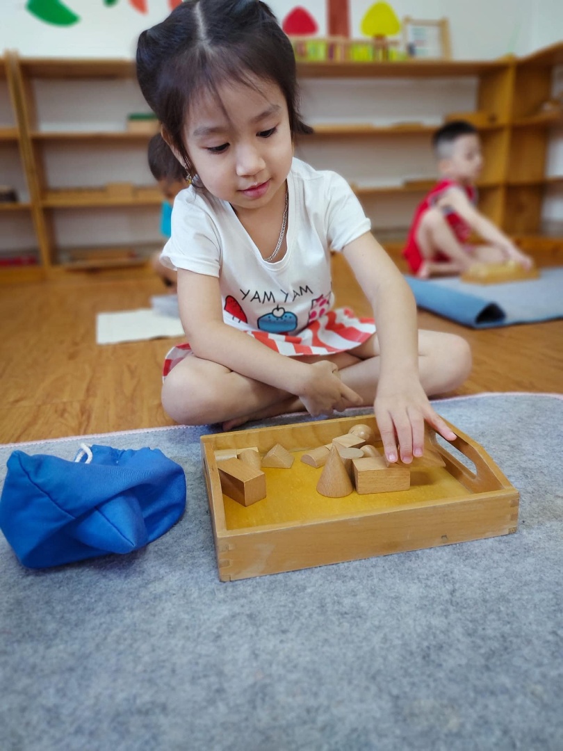 Chương trình học