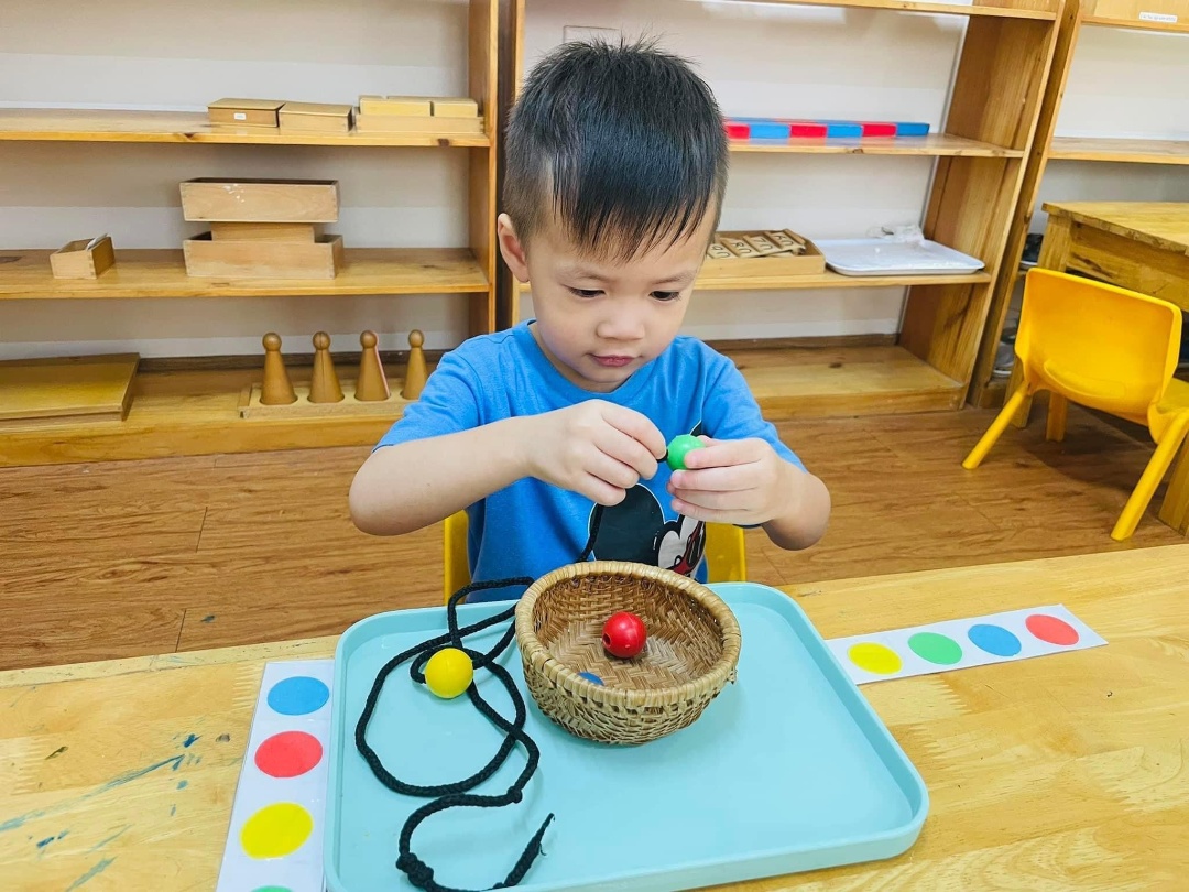 Chương trình học