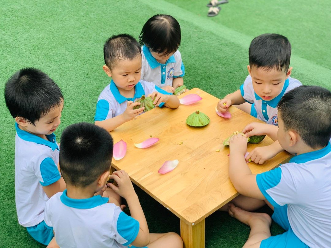 Chương trình học