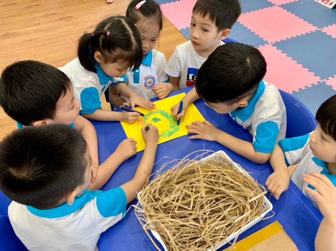 Chương trình học