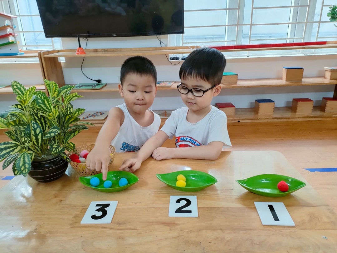 Chương trình học