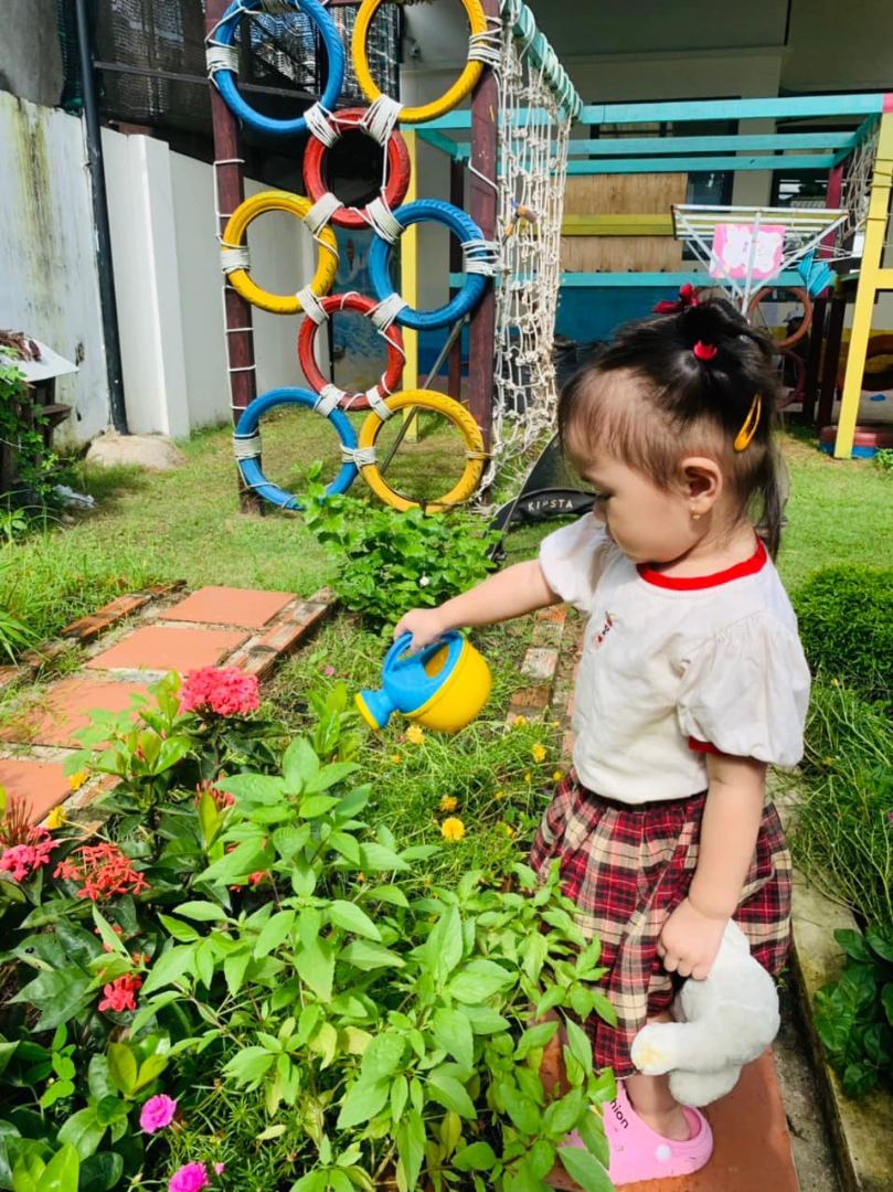 Chương trình học