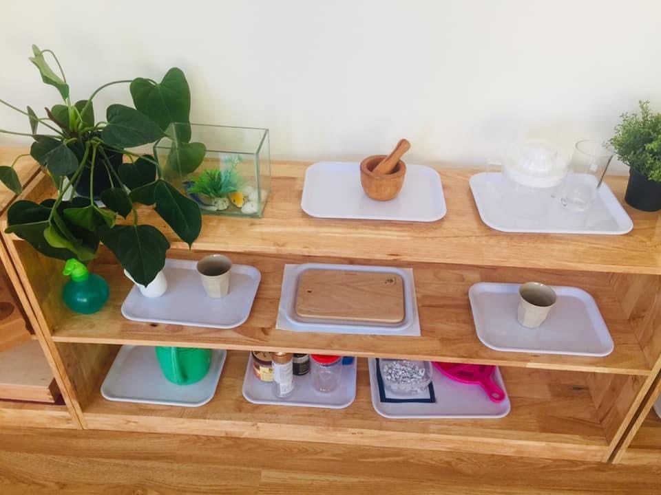 Cơ cở vật chất