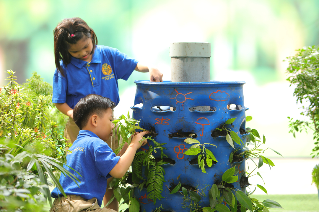 Điểm nổi bật