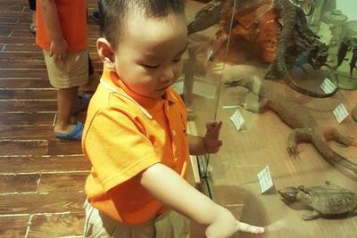 Trường mầm non Cát Linh - Cát Linh