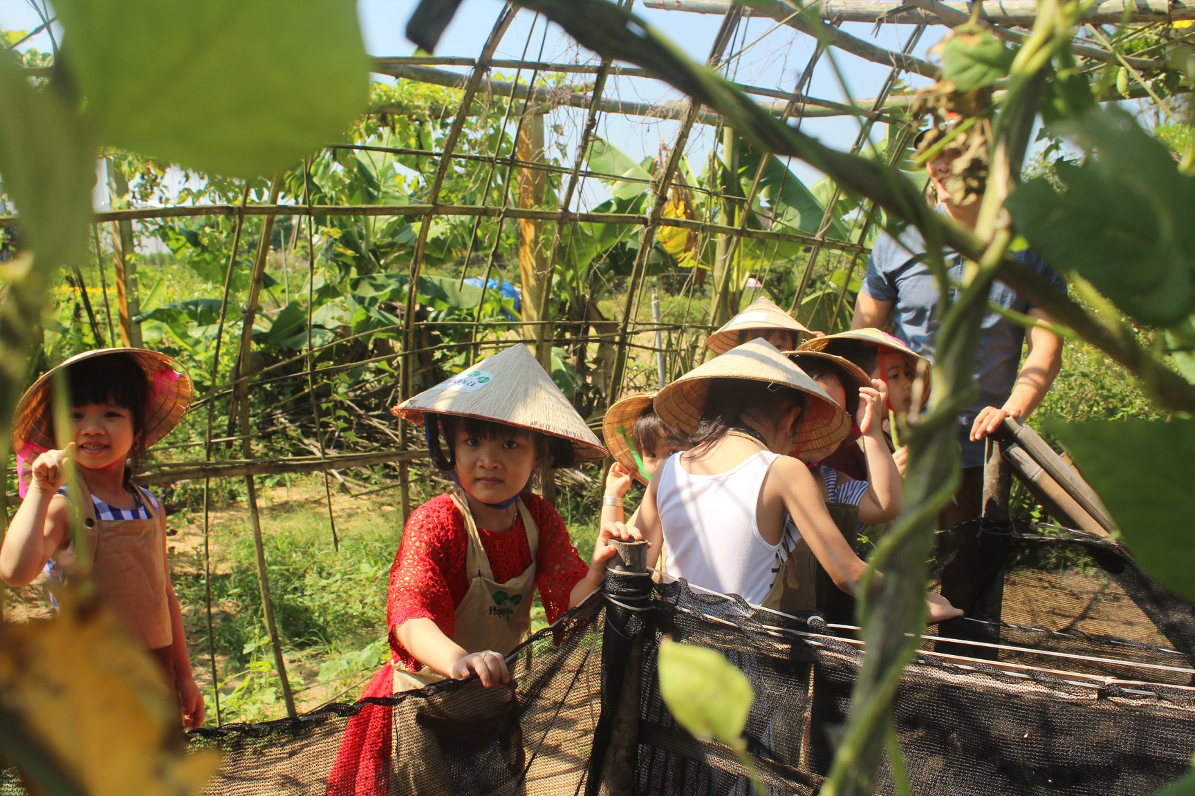 Trường Mầm Non 29-3 - Nguyễn Chí Thanh, Hải Châu