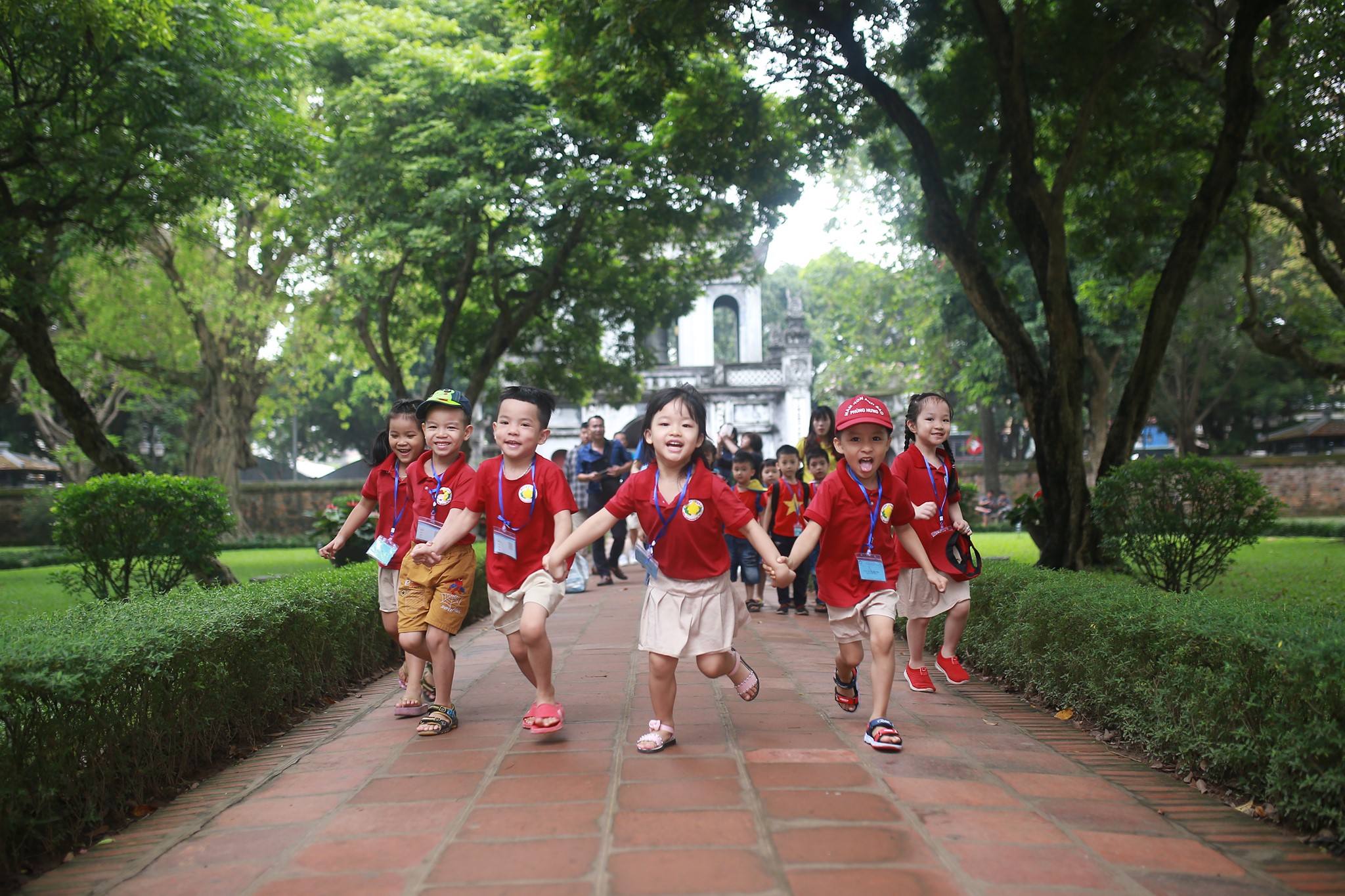 Ảnh của trường Trường mầm non Ánh Sao ( Star Light Kindergarten ) - Phùng Hưng