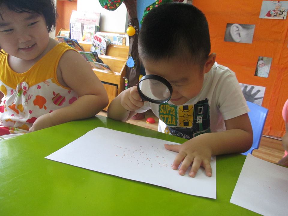 Ảnh của trường Trường mầm non ASG American School - Phố Huế