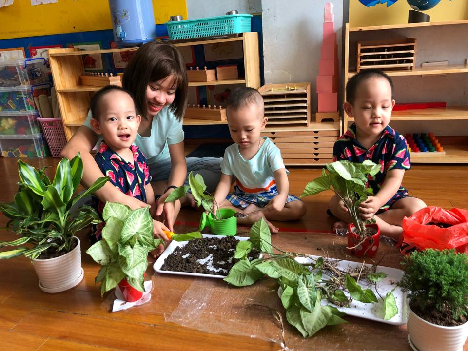 Ảnh của trường Trường mầm non Đại Dương Xanh - Võ Thị Sáu