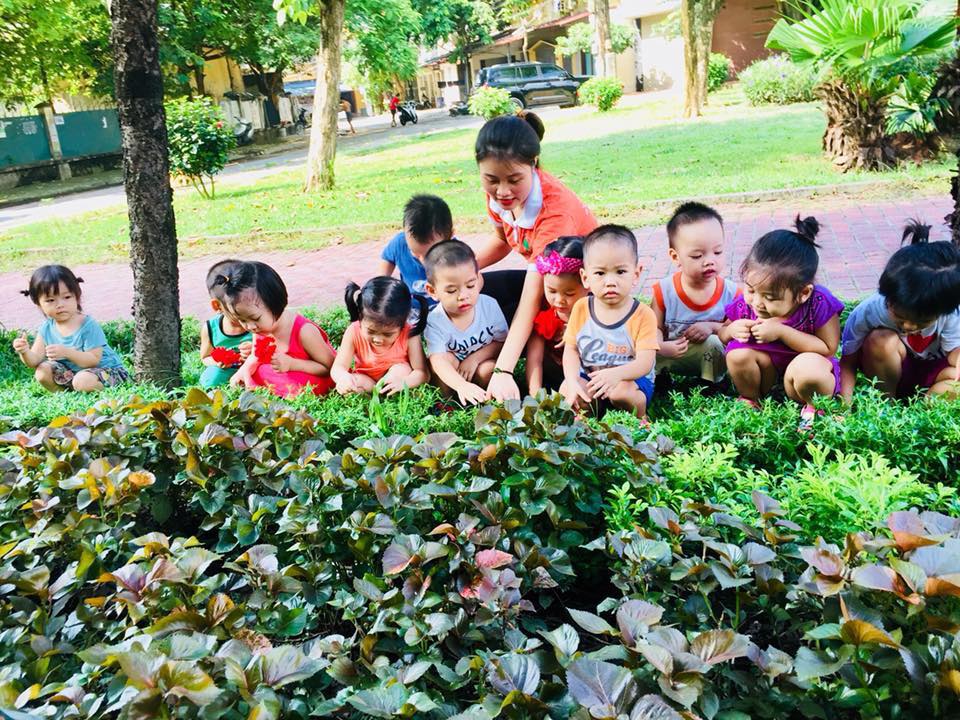 Trường mầm non Disneyland Montessori - Đền Lừ