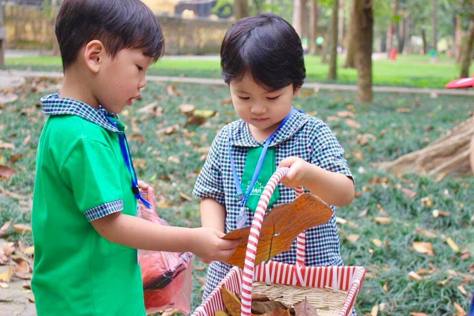 Ảnh của trường Trường mầm non Lá Phong Xanh An STEM (The Maple Leaf Montessori Academy & STEM Academy) - An Hưng
