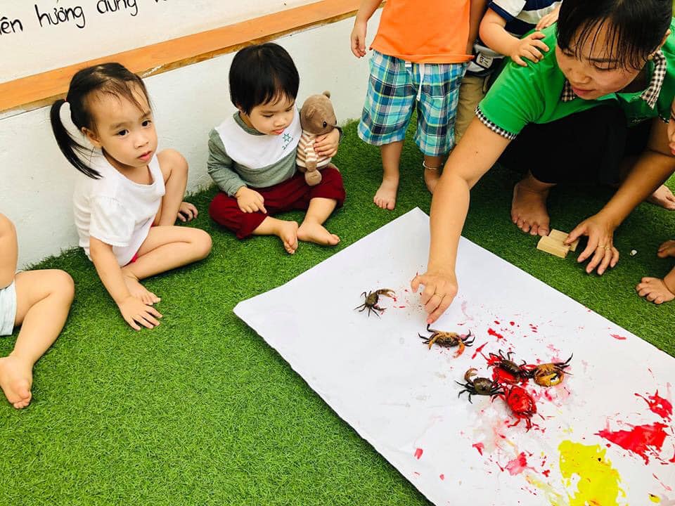 Ảnh của trường Trường mầm non Lá Phong Xanh (Maple Leaf) - Yên Hòa