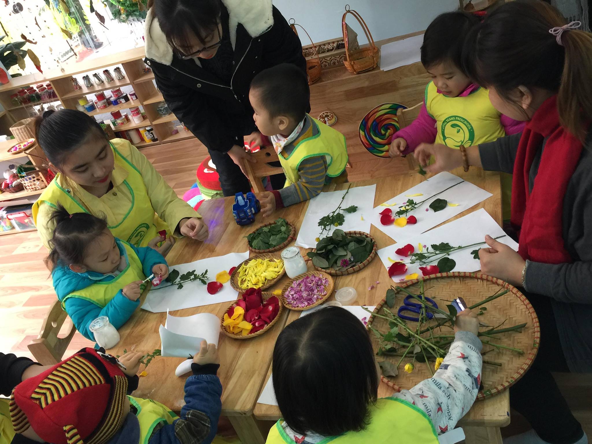 Ảnh của trường Trường mầm non Mầm Đậu Nhỏ ( Little Beans Reggio Emillia Preschool ) - 96B Nguyễn Huy Tưởng