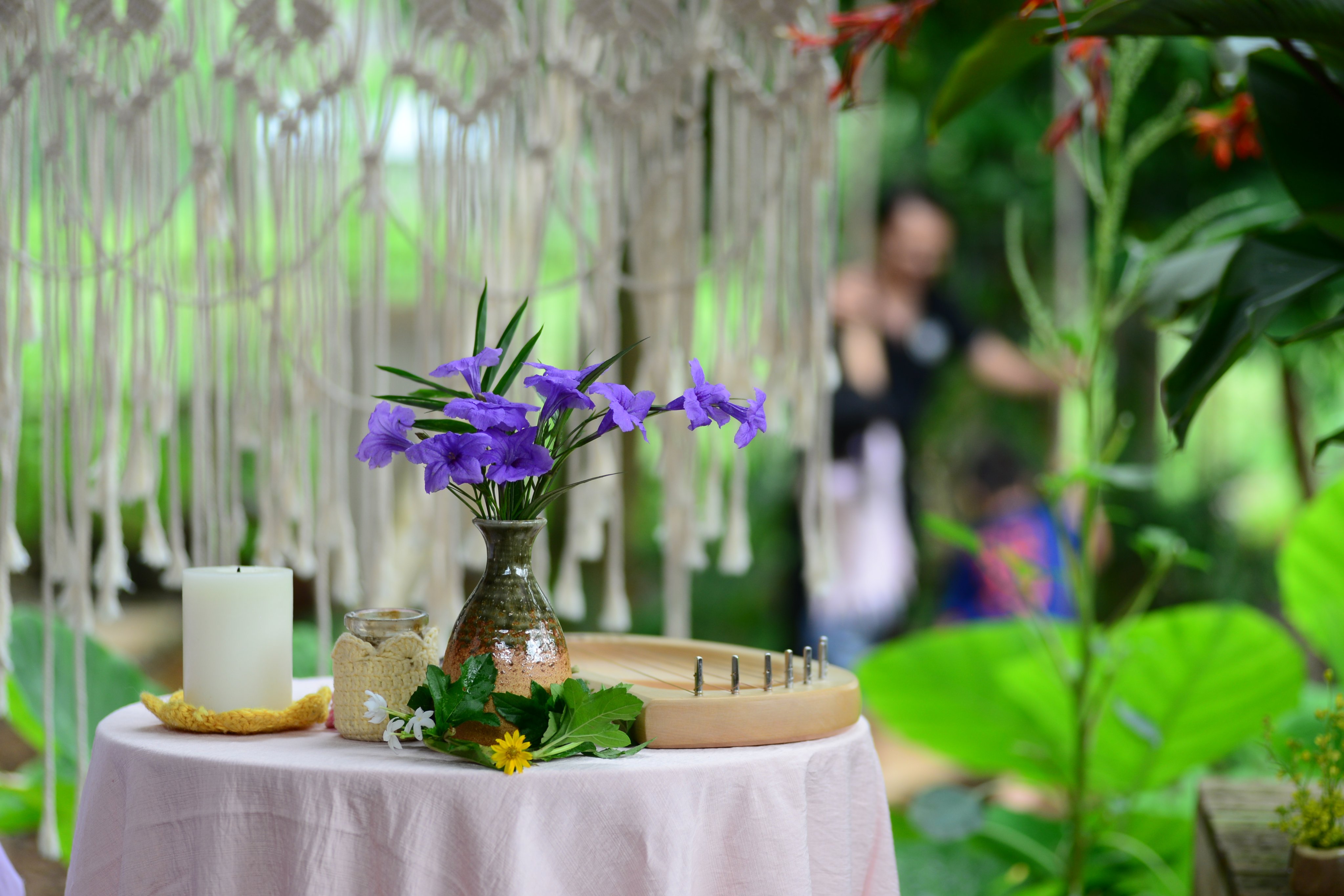 Trường mầm non Mầm Xanh Steiner - Inspired School - Đào Tấn