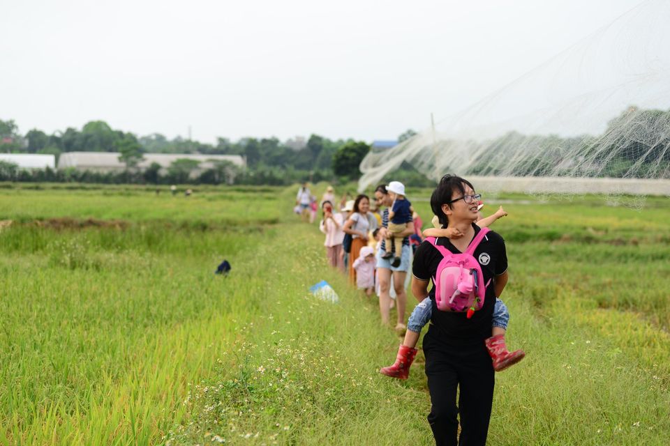 Trường mầm non Mầm Xanh Steiner - Inspired School - Đào Tấn