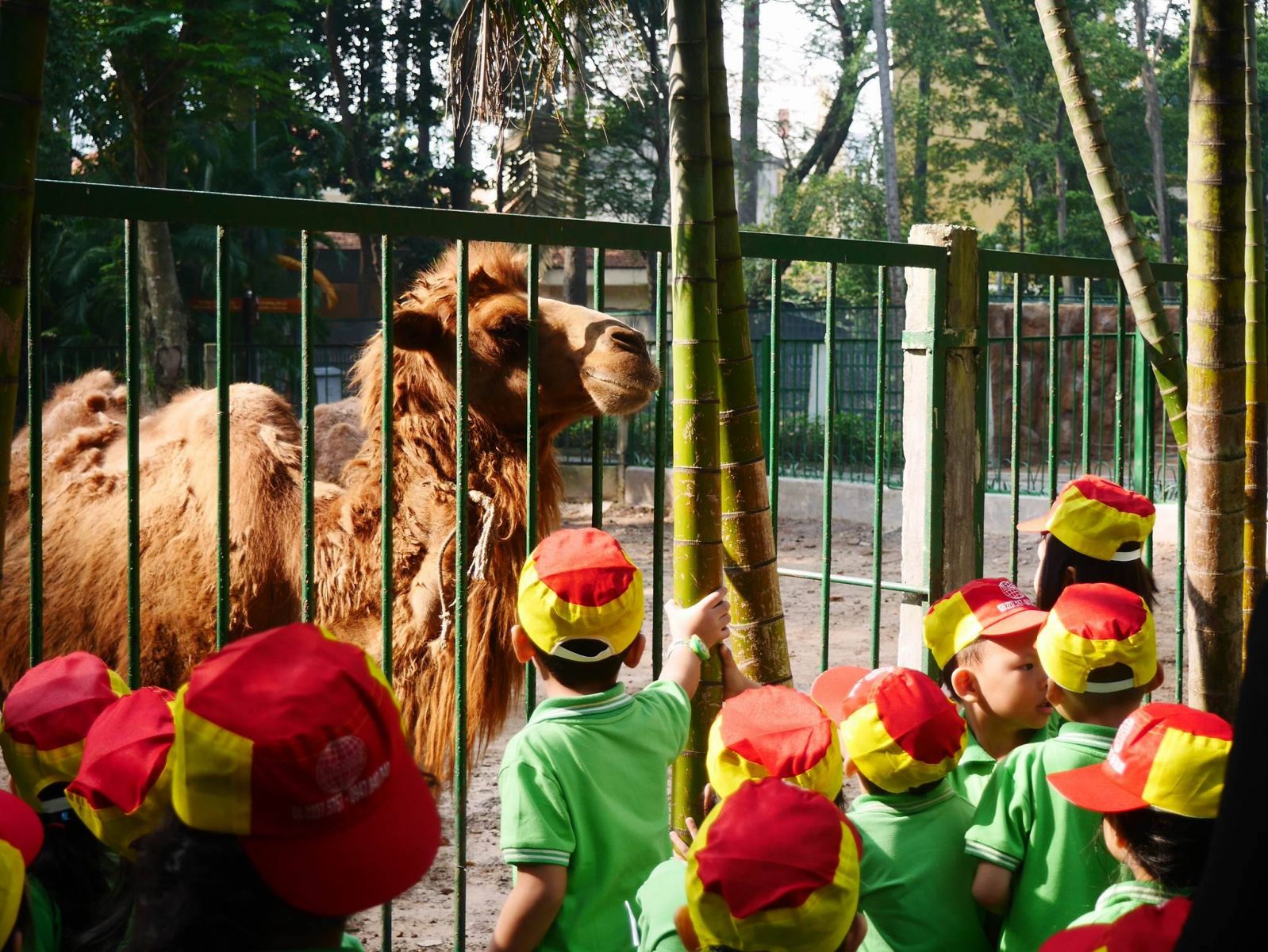 Ảnh của trường Trường mầm non Miền Trẻ Thơ Kiddyland - Phường 10