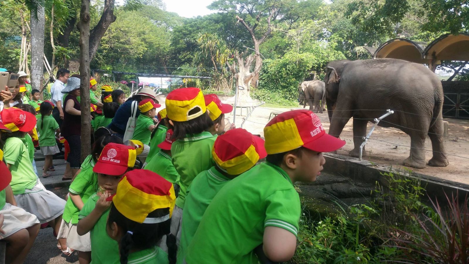 Ảnh của trường Trường mầm non Miền Trẻ Thơ Kiddyland - Phường 10