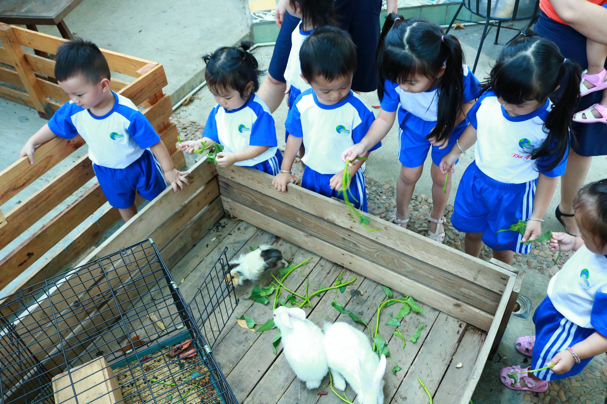 Ảnh của trường Trường mầm non quốc tế Global Ecokids Cityland - đường số 3