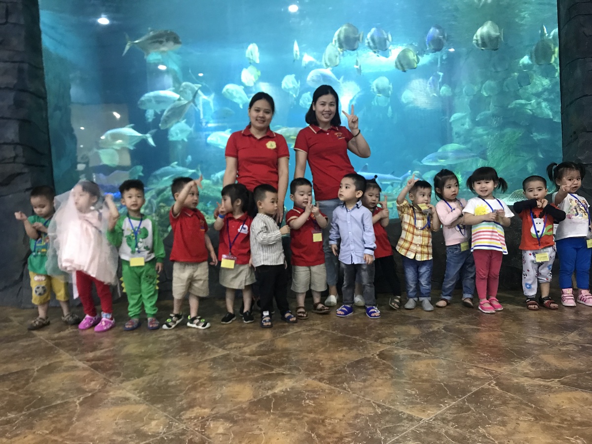 Ảnh của trường Trường mầm non Quỳnh Lôi - Hai Bà Trưng
