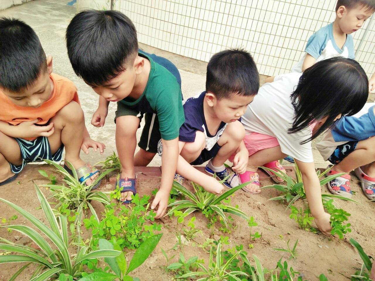 Ảnh của trường Trường mầm non Thiên Đức - KĐT Xa La