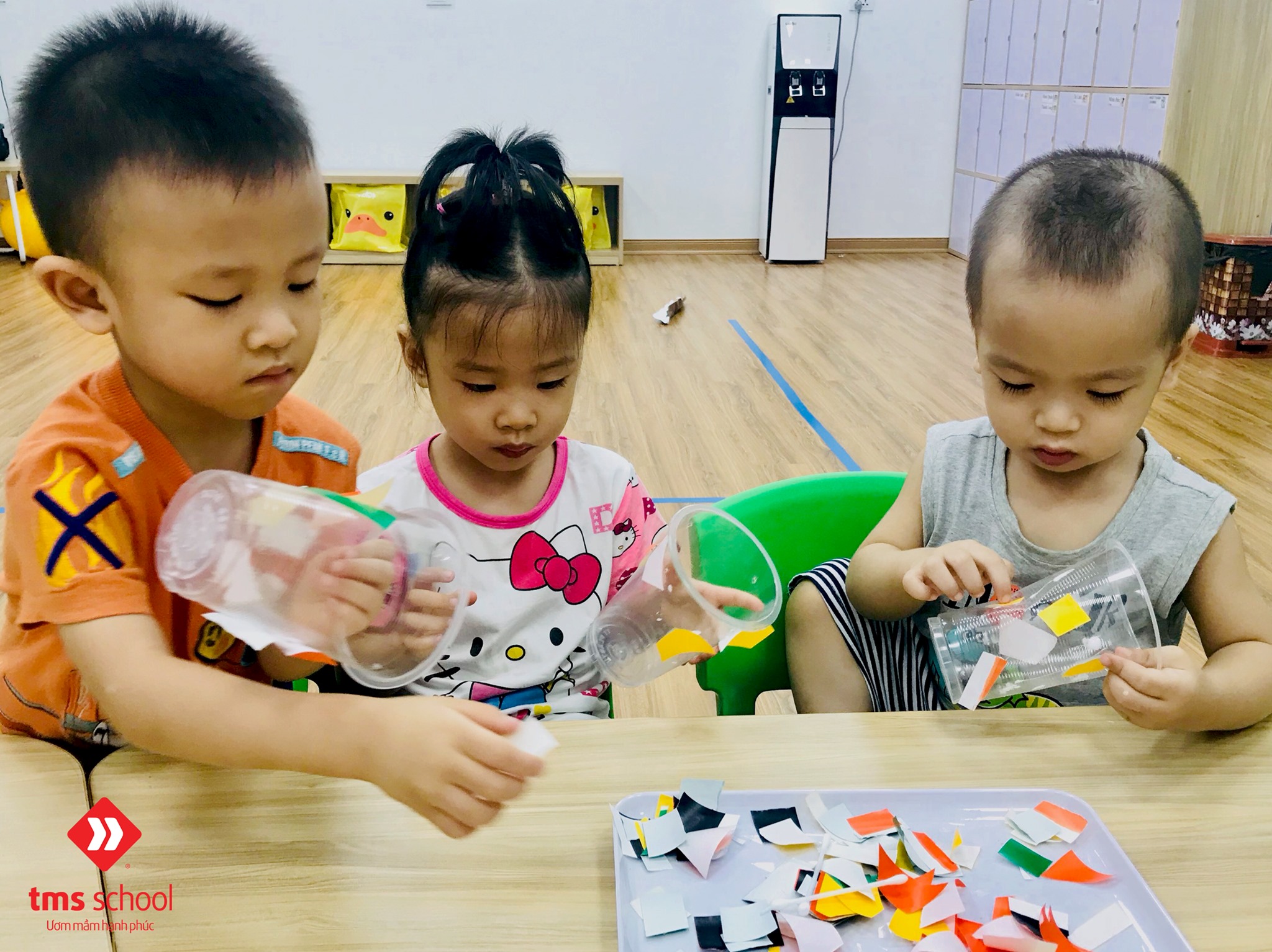 Ảnh của trường Trường mầm non TMS (TMS School) - Tố Hữu
