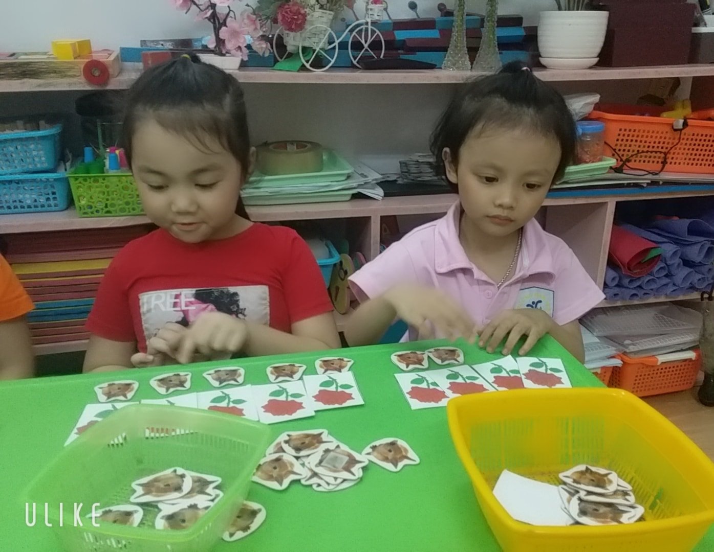 Ảnh của trường Trường mầm non Tư thục Tuổi thơ - chi nhánh Thổ Quan