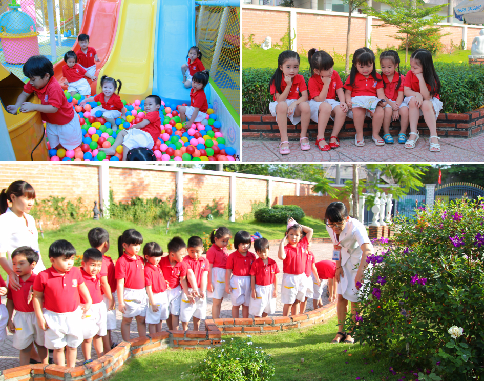 Trường mầm non Việt Anh - Hiệp Thành