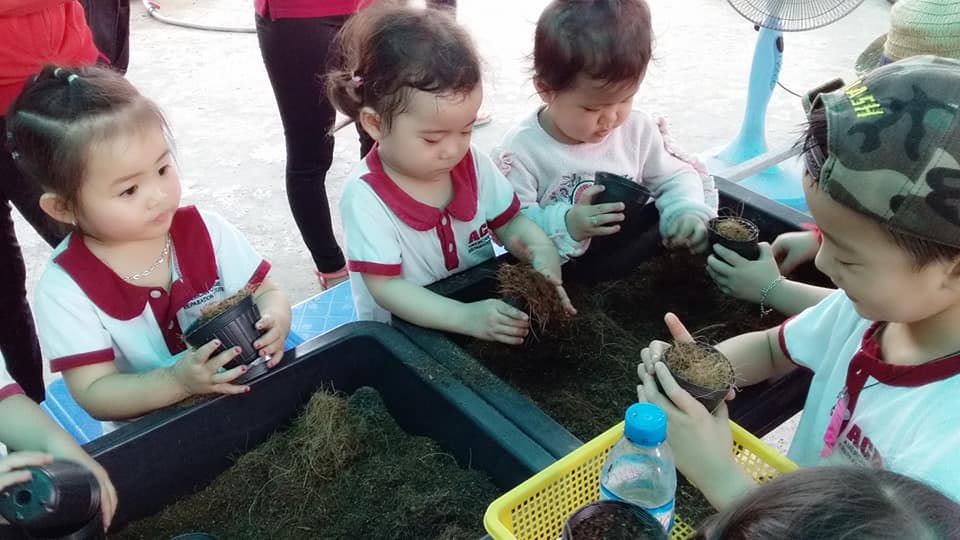 Ảnh của trường Trường mầm non Việt Mỹ Sài Gòn - Bình Trưng Tây
