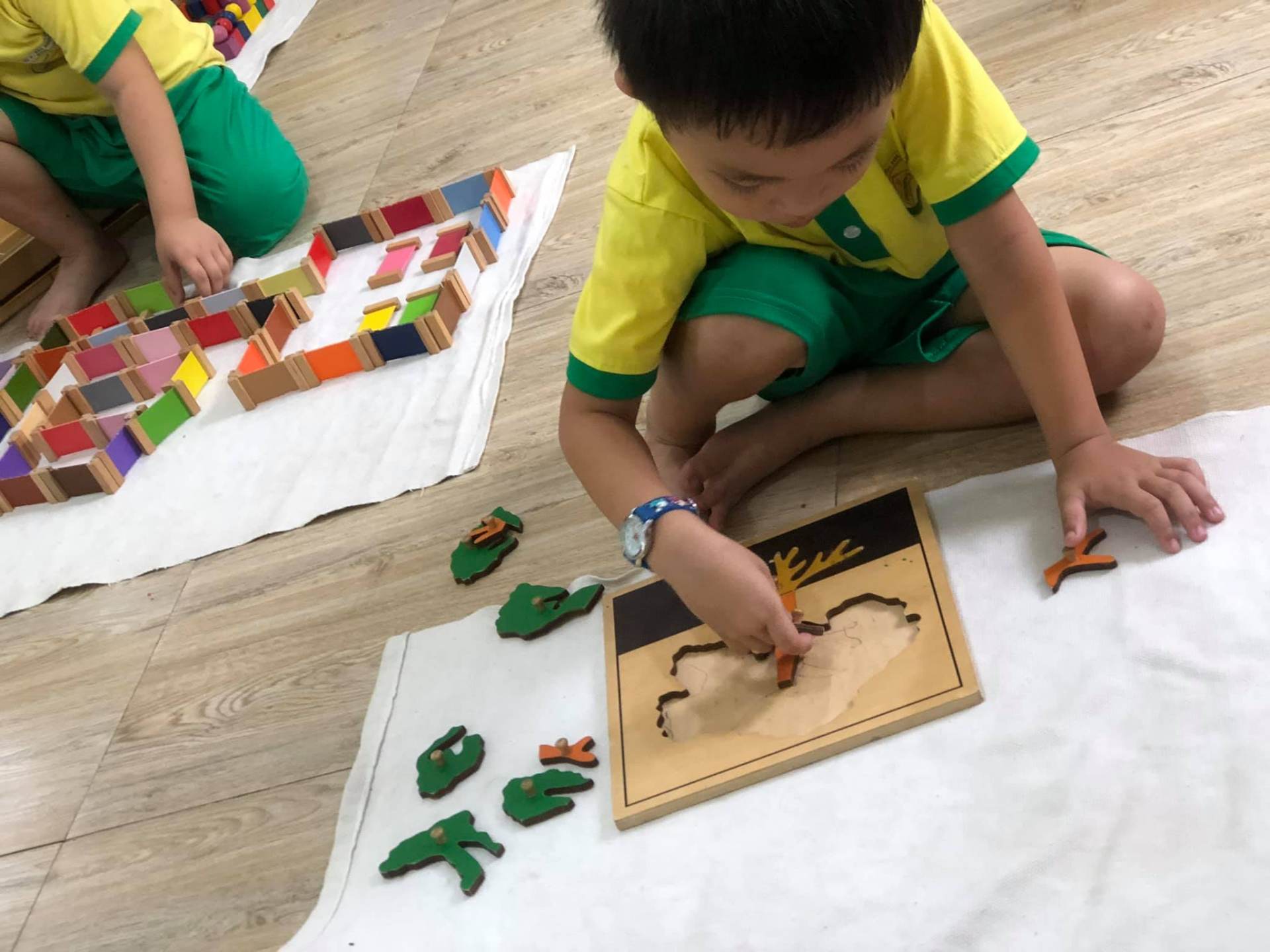 Chương trình học