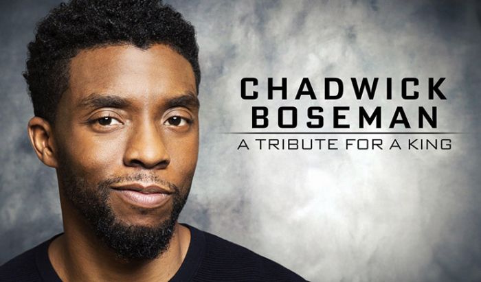 tribute black panther tribute black panther