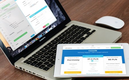 Learn how to make an infographic and how this content can boost your online business