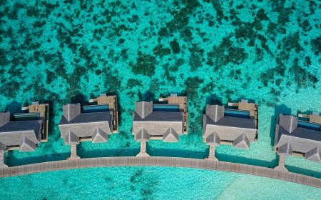 How much money will be spent in Maldives and how to reach, as well as all the information related to visa will be available here, just start planning to visit